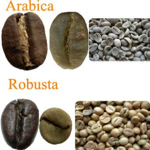 robusta-arabika.jpg