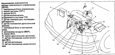 Безымянный.png