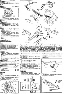 форсы.jpg