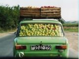 Аватара пользователя