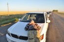 Аватара пользователя