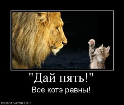 777535_daj-pyat.JPG