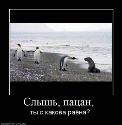 x_9a98b153.JPG