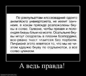 x_838f9e72.JPG