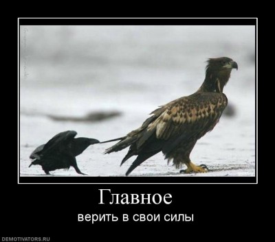 972555_glavnoe.jpg