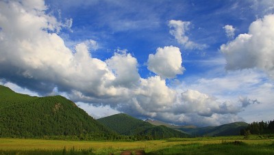 IMG_4558-1.jpg