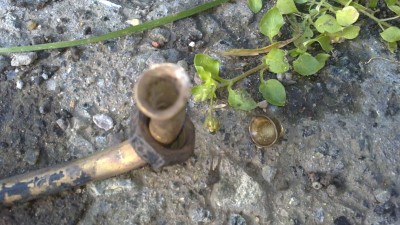 28082011662.JPG