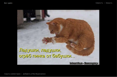 Кот Безымянный.png