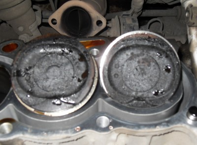 SDC10025.JPG