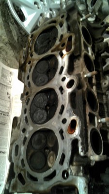 IMG_20111001_191828.jpg