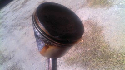 IMG_20111002_135135.jpg