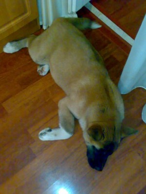 08112011103.jpg