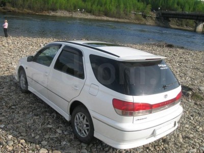 23007935.jpg
