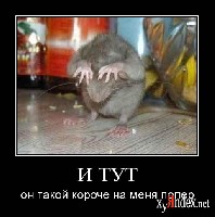 1248863076_zuzdbv7t8kf3.jpg