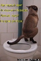 126084_20744393393.jpg