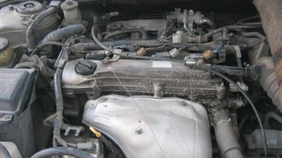 IMG_03851.JPG