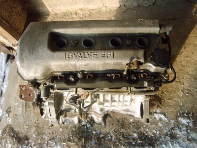 Resize of S5006756.JPG