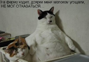 123564327327.jpg