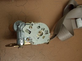 CIMG4550.JPG