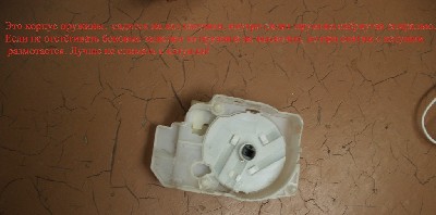 CIMG4551.JPG