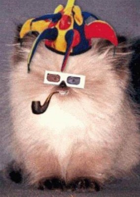 getImage (9).jpg