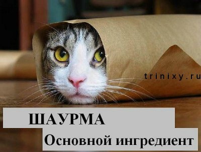 getImage (22).jpg