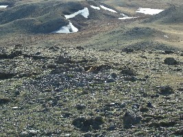 DSC05518.JPG