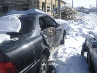 DSC04211.gif