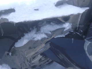 DSC04213.gif