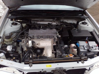 2012-04-10-022.jpg