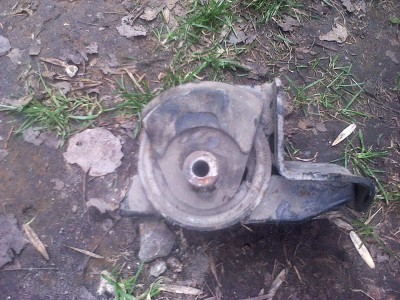 IMG10020.jpg