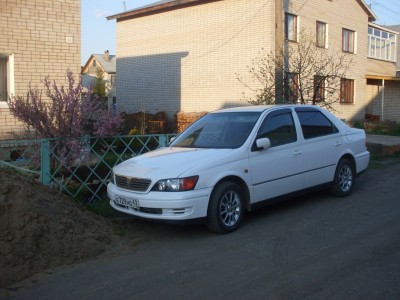 SDC11599.JPG