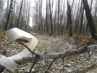 Дорога в рай.jpg