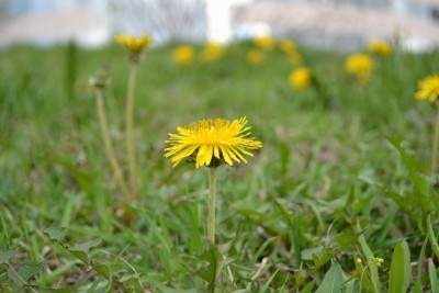 DSC_0019+.jpg