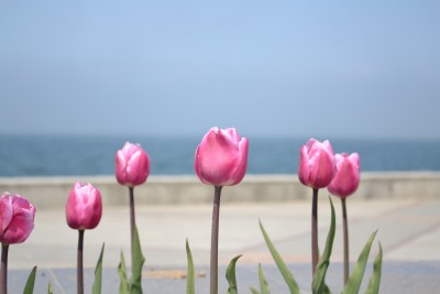 DSC_0024+.jpg