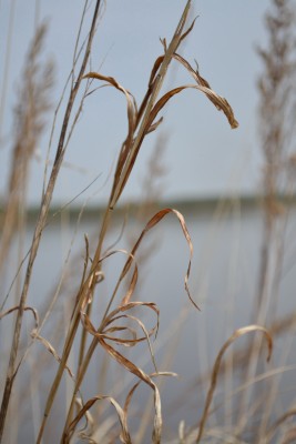 DSC_0159+.jpg