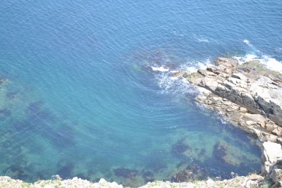 DSC_0022+.jpg