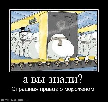 1255072873_443937_a-vyi-znali.jpg