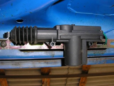 trunk03.jpg
