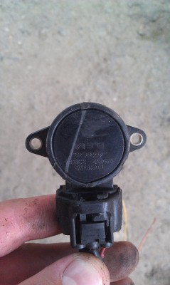 IMAG0118.jpg