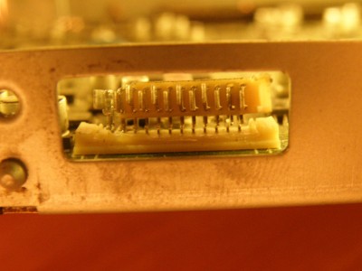 P8141417.JPG