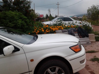 2012-08-15 19.01.38.jpg