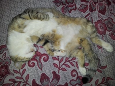 20120805_154330.jpg