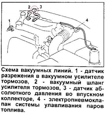 ДАД.JPG