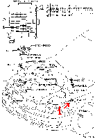 image5.gif