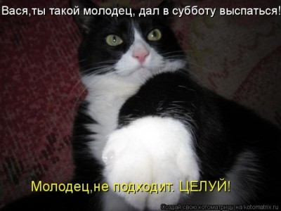 1305880338_kote-13.JPG