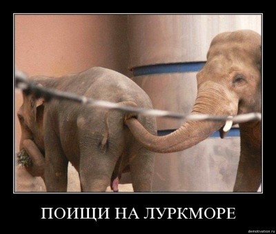 слоник.JPG