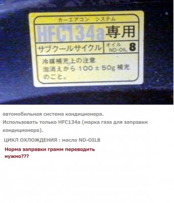 203.jpg