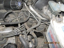 IMG_1258.jpg