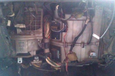 IMAG0681.jpg